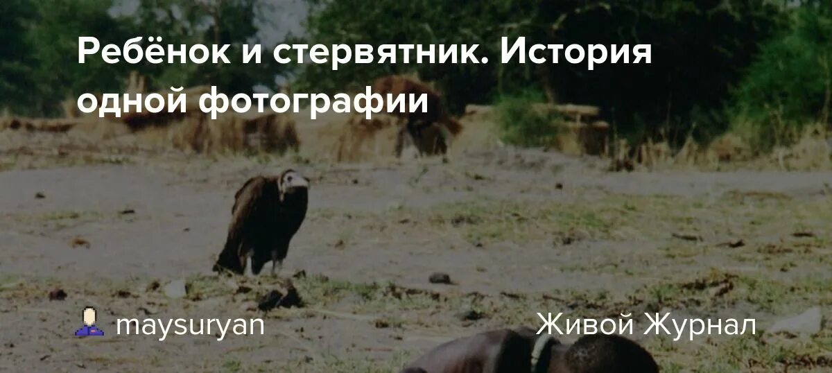 Ребенок и стервятник история фото Ребёнок и стервятник. История одной фотографии: maysuryan - ЖЖ