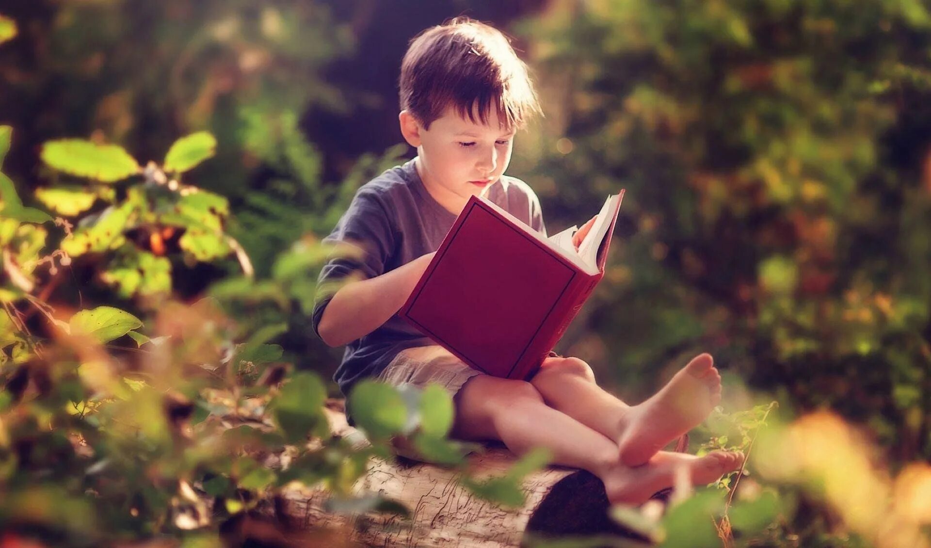 Ребенок с книгой фото Выставка иллюстраций детской литературы "Хвала детской книге" 2024, Муравленко -