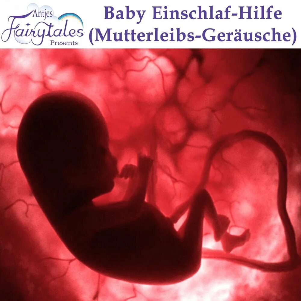 Ребенок внутри фото Baby Einschlaf-Hilfe (Mutterleibs-Geräusche) Antjes Fairytales слушать онлайн на