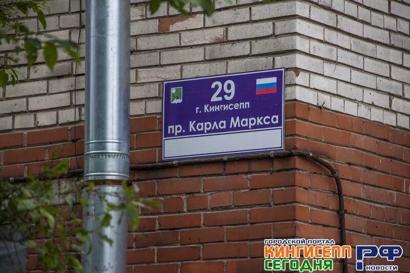 Ребус просп карла маркса 42 кингисепп фото Хищный "баклан" атакует! Кадры нападения агрессивной птицы на людей - Видео ново