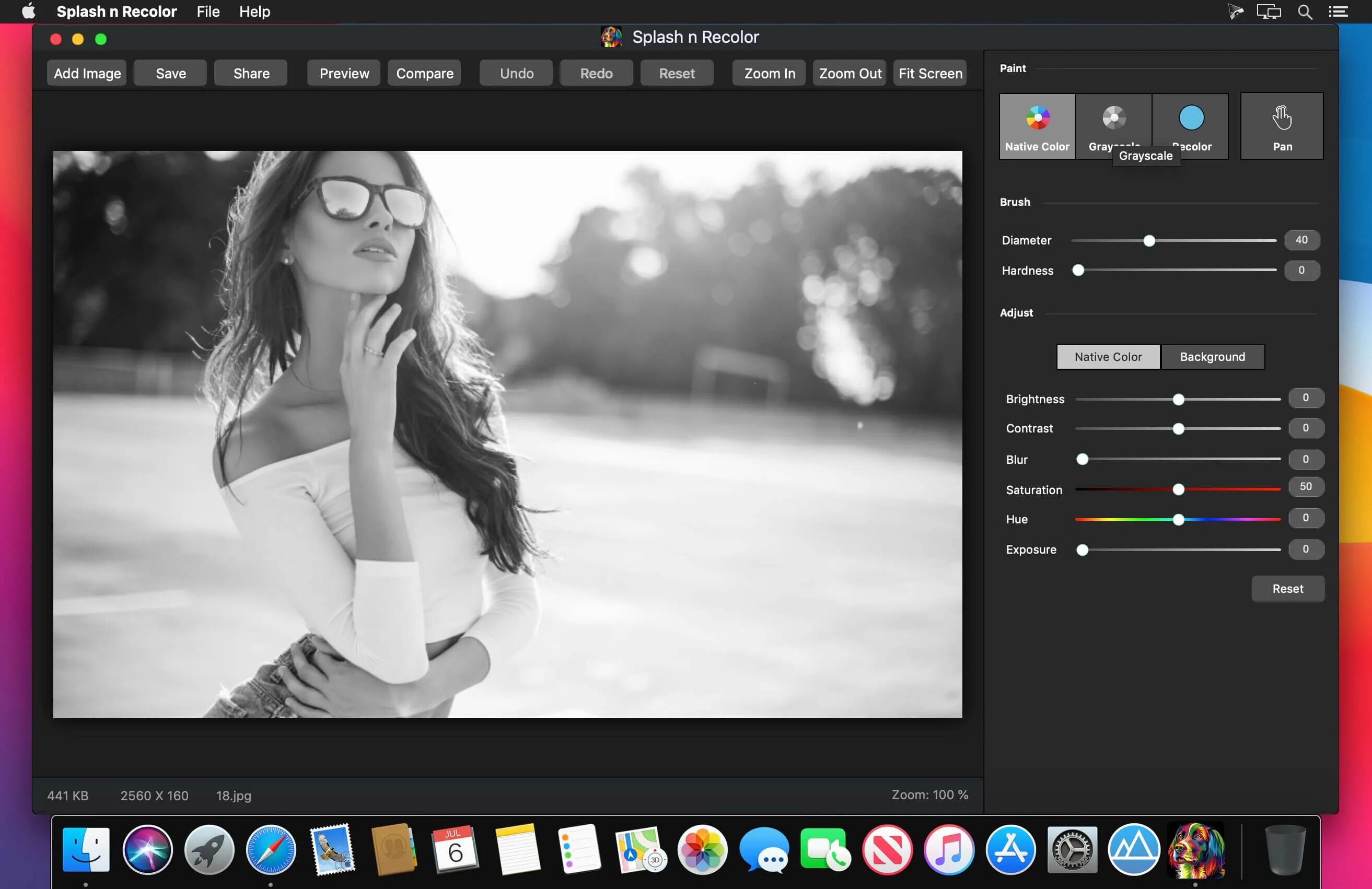 Редактор черно белых фото онлайн Splash n Recolor 4.3 download macOS