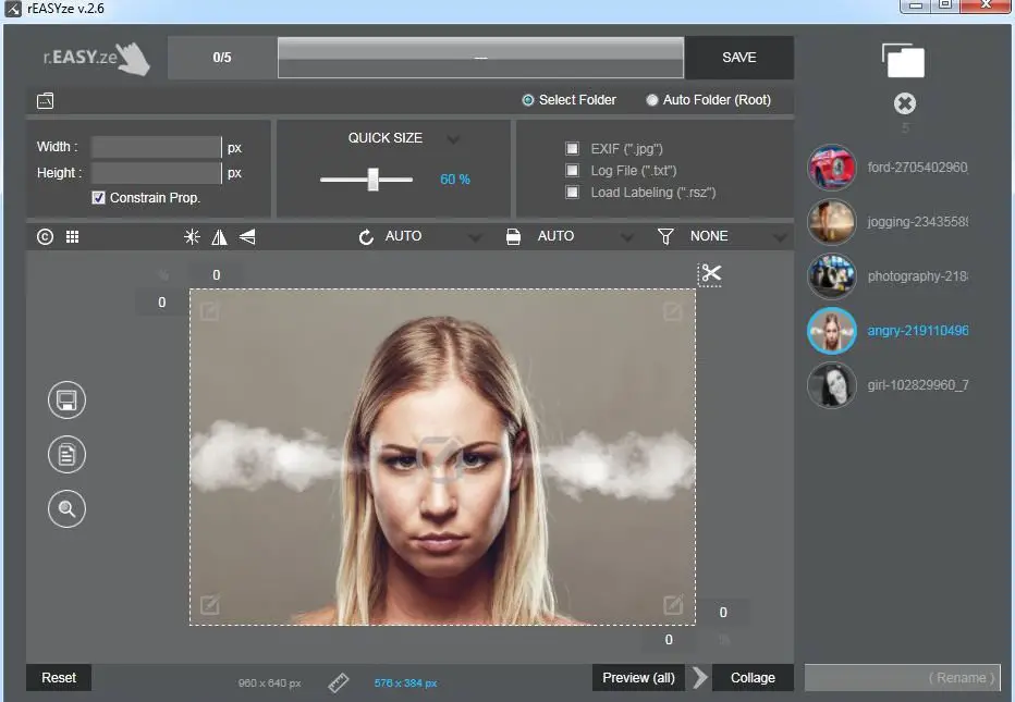 Редактор фото лист rEASYze Batch Image Resizer & Photo Editor for Windows PC