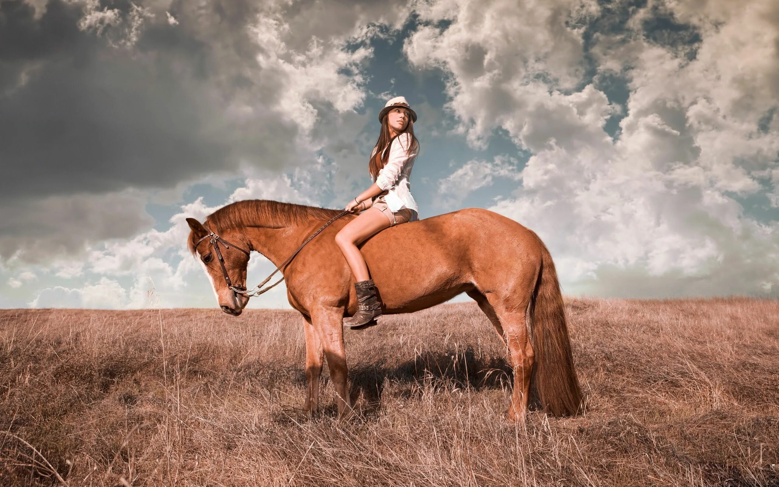 Редактор фото с лошадьми верхом Girl in hat Riding a Horse Wallpaper - Get Imges Horses, Horse photographer, Hor