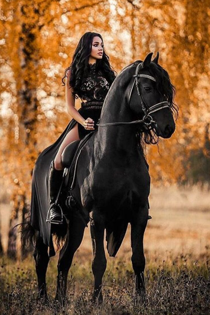 Редактор фото с лошадьми верхом Pin on Horse Pictures