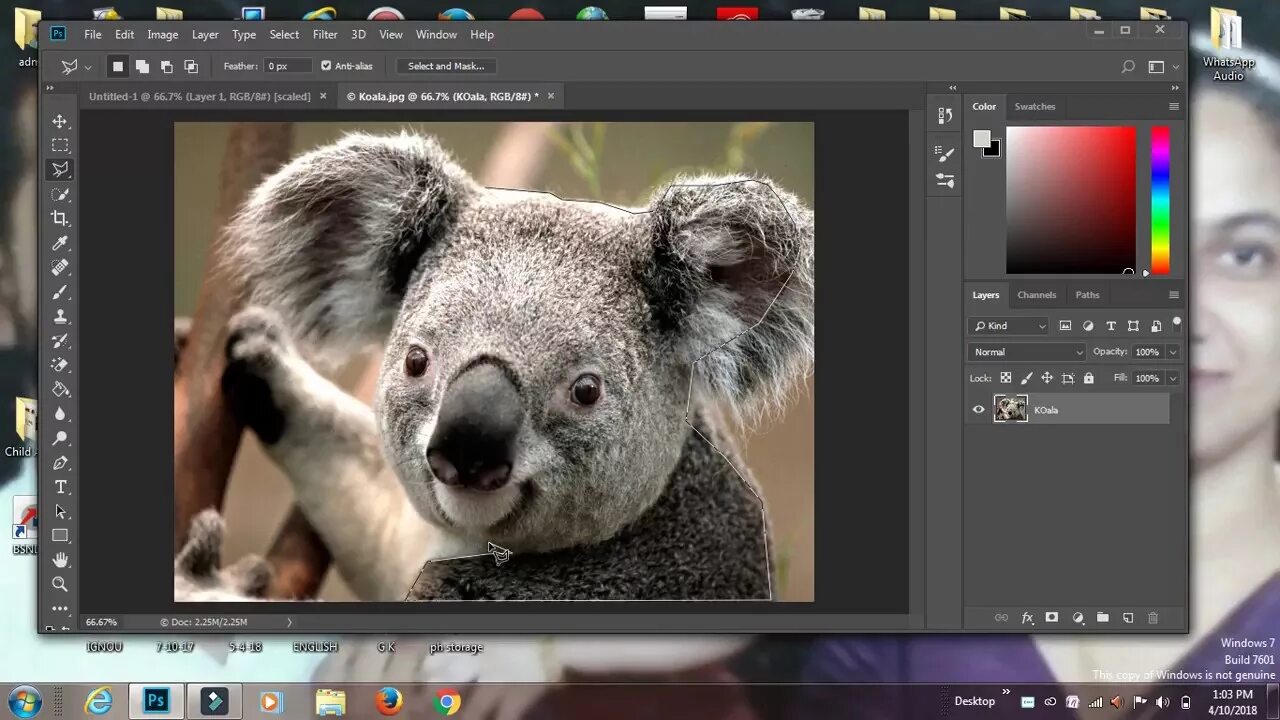 Редактор фото животных How to use photoshop cc for bigginers. - YouTube