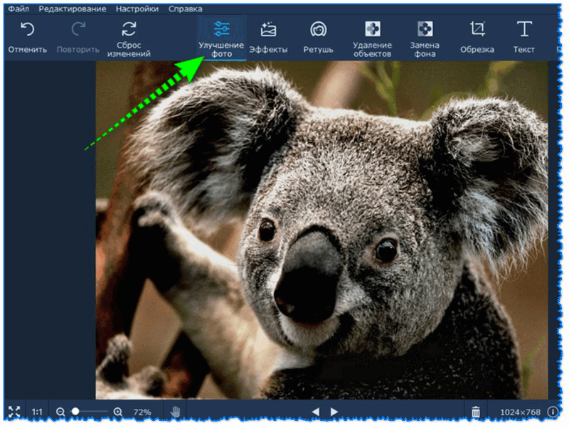 Редактор фото животных Бесплатные фоторедакторы для начинающих: улучшаем фото двумя кликами.
