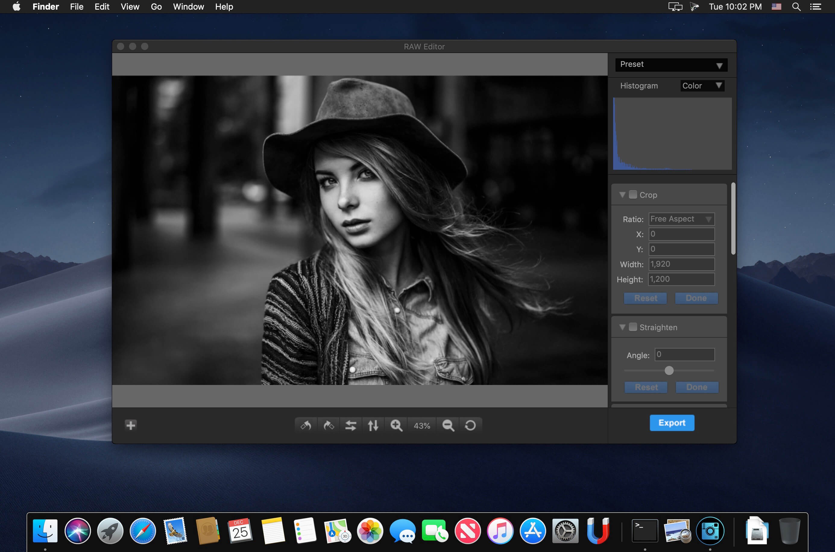 Редактор стилей фото онлайн RAW-Editor 2.0 download macOS