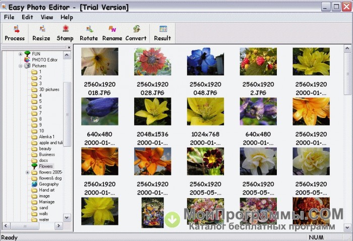 Редактор цветов фото Easy Photo Editor скачать бесплатно русская версия для Windows