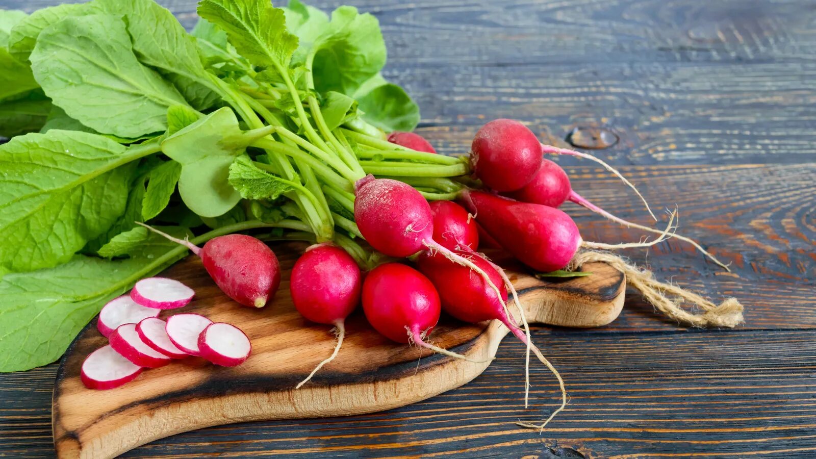 Редис фото овощ What Makes French Breakfast Radishes Unique