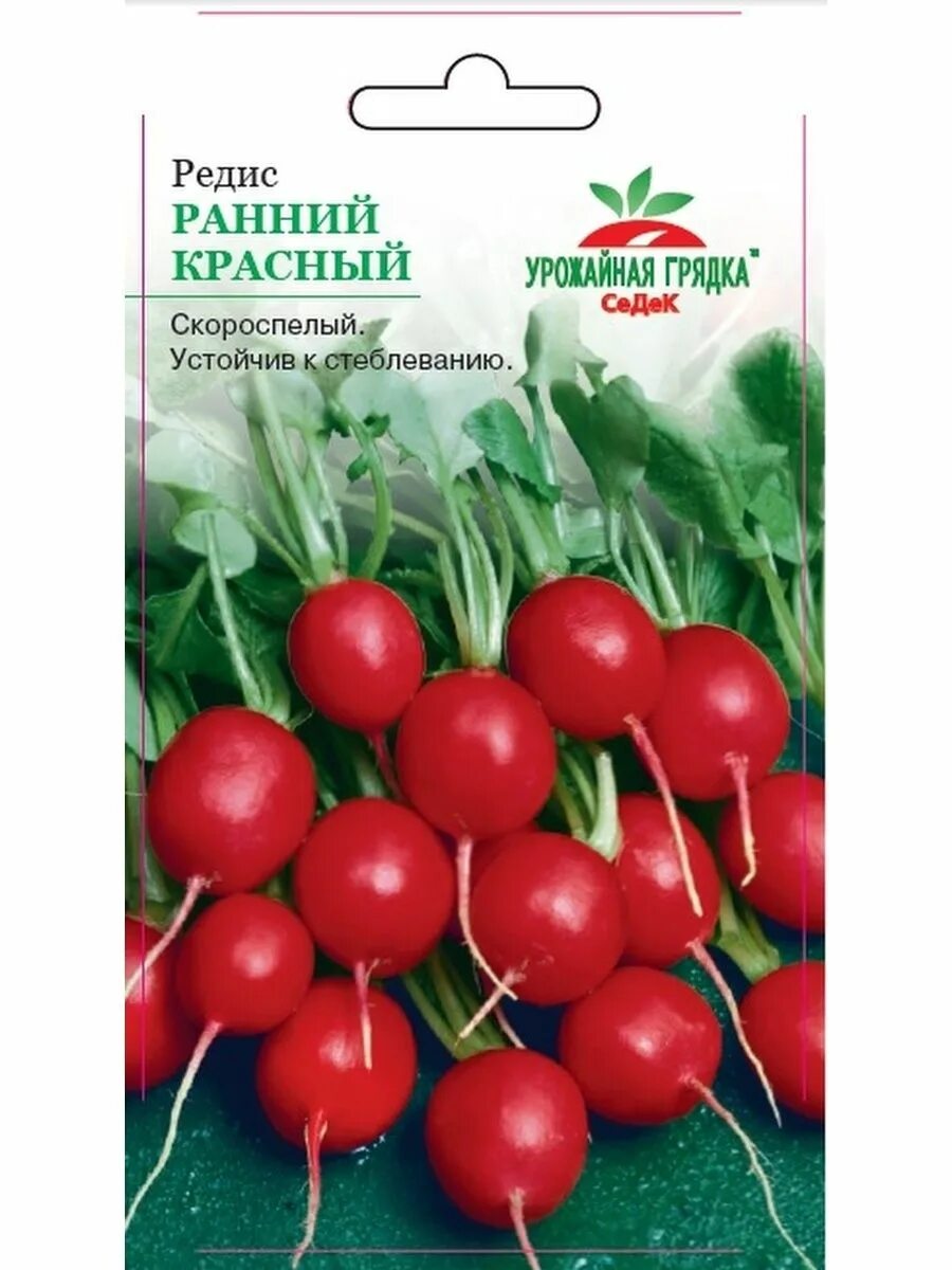 Редис описание сорта фото отзывы Семена Редис Ранний Красный 2 пакета. СеДек 146963890 купить в интернет-магазине