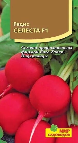 Редис описание сорта фото отзывы садоводов Редис Мир Садоводов Редис "Селеста F1" - купить по выгодным ценам в интернет-маг