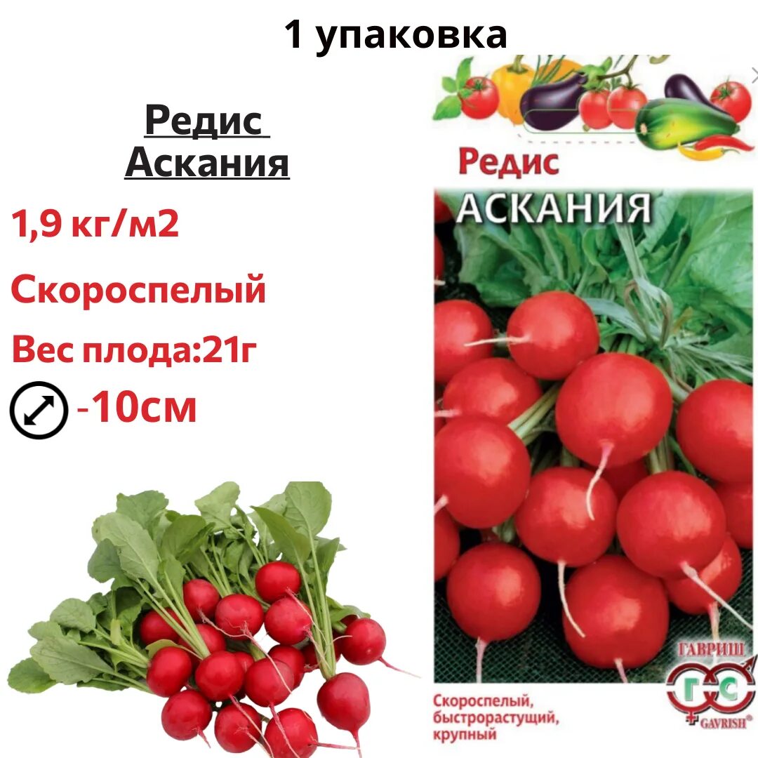 Редис описание сорта фото отзывы садоводов Редис Гавриш RERECCC - купить по выгодным ценам в интернет-магазине OZON