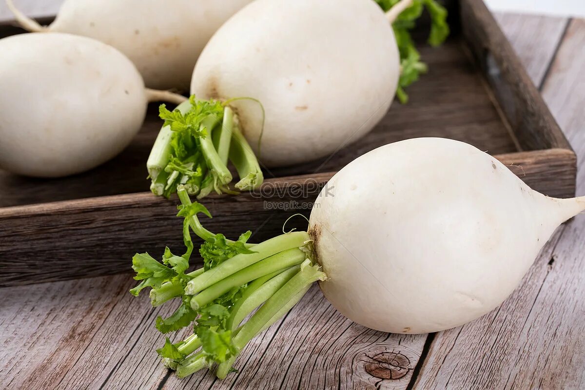 Редька белая фото Download Turnips hd photos Free Stock Photos - Lovepik