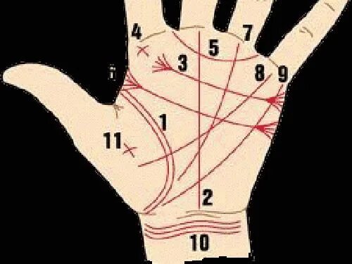 Редкие линии на ладони значение фото Хиромантия: знаки на руке, указывающие на счастливую жизнь Numerologie, Astrolog