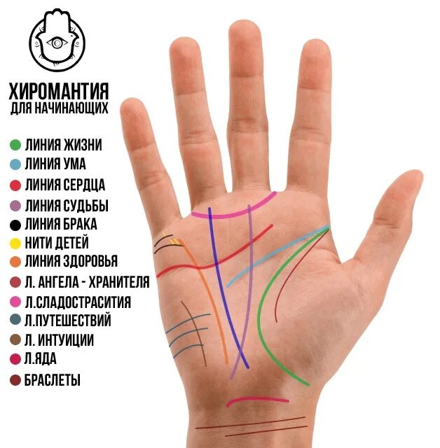 Линии на правой руке и их значение