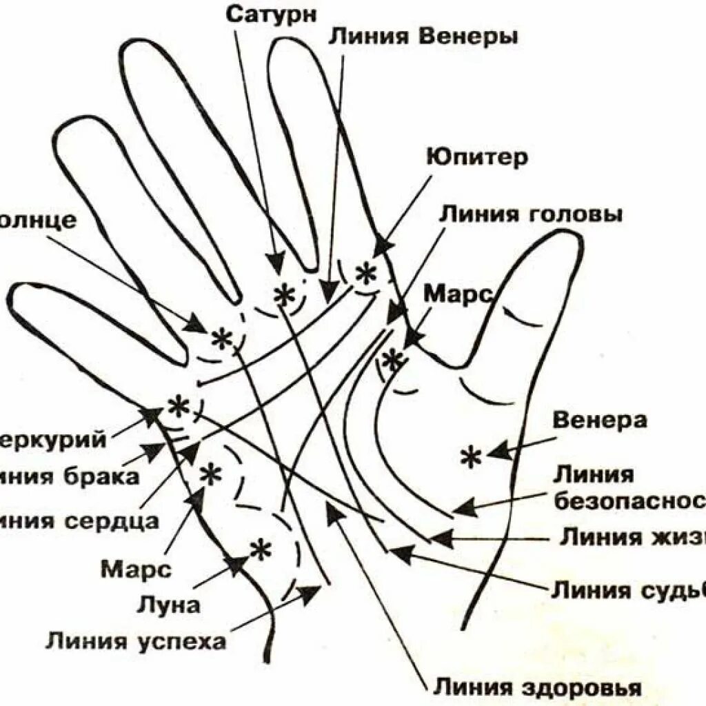 Редкие линии на ладони значение фото Линии жизни на обеих руках: найдено 86 изображений