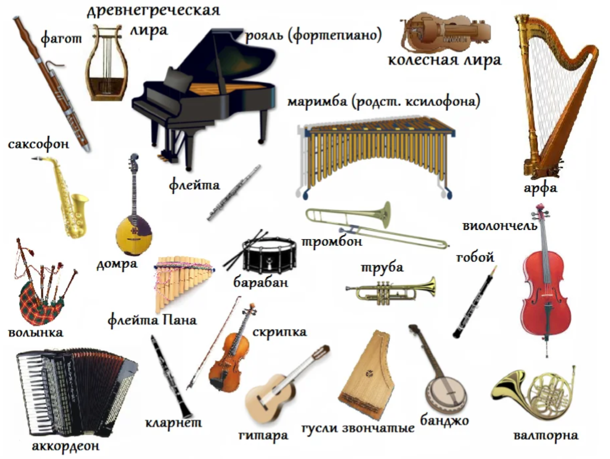 Редкие музыкальные инструменты названия и фото Картинки СЕМЬ МУЗЫКАЛЬНЫХ ИНСТРУМЕНТОВ