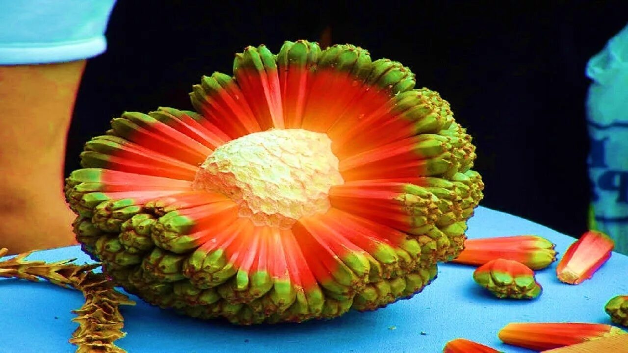 Редкие овощи названия и фото Top 5 Strangest Fruits in The World - YouTube