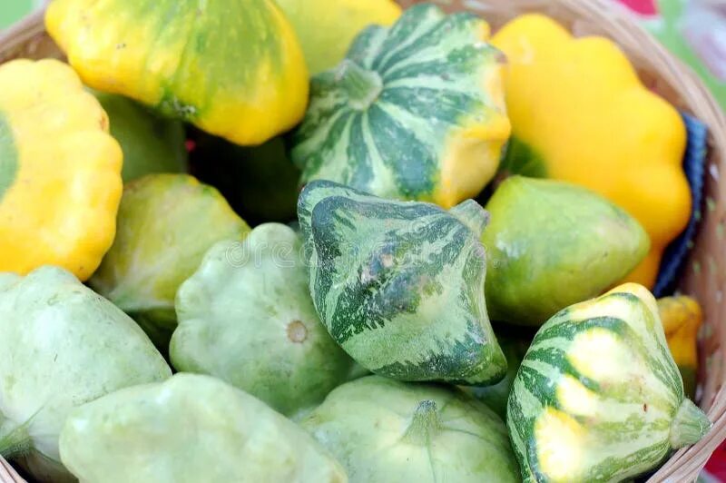 Редкие овощи названия и фото Squash, Pattypan Squash, Leaves of Vegetables. Background of Vegetables. Stock I