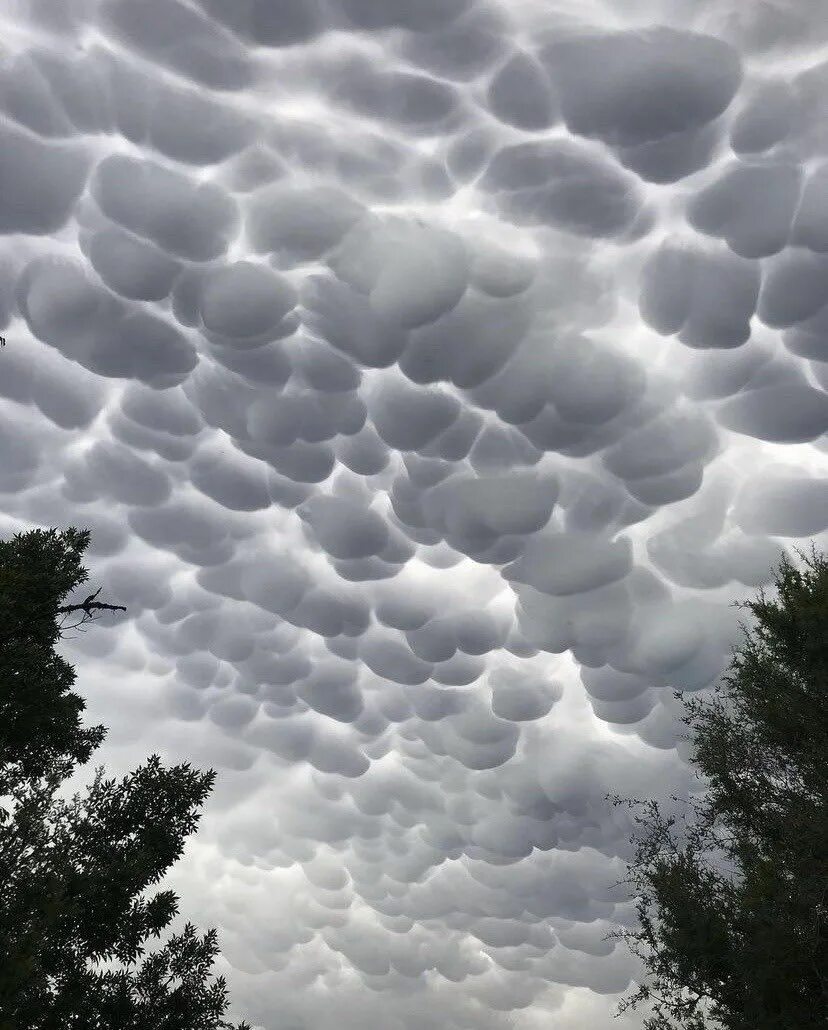 Редкие виды облаков фото и их названия 5’4 on a good day. on Twitter in 2022 Mammatus clouds, Sky aesthetic, Clouds