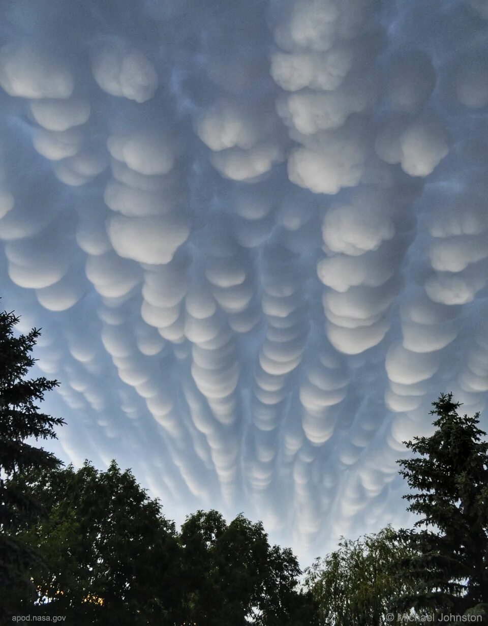 Редкие виды облаков фото и их названия APOD: 2021 August 11 - Mammatus Clouds over Saskatchewan