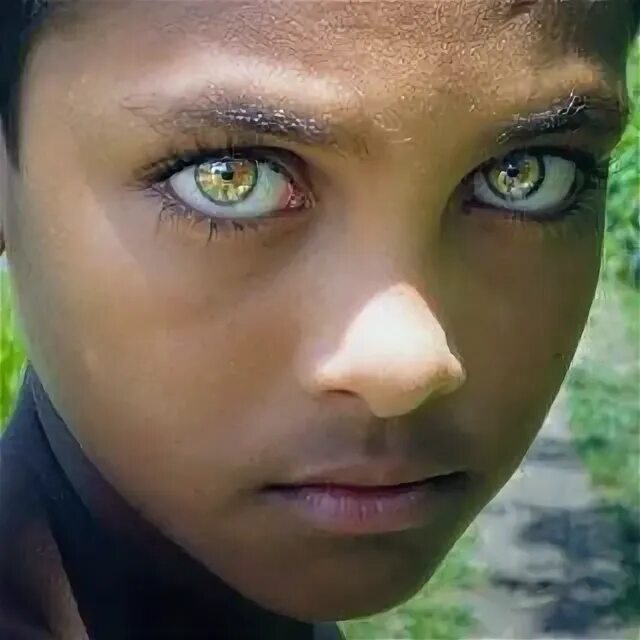 Редкий цвет глаз фото tawny eyes - Google Search Fotos de ojos, Ojos impresionantes, Imagenes de ojos