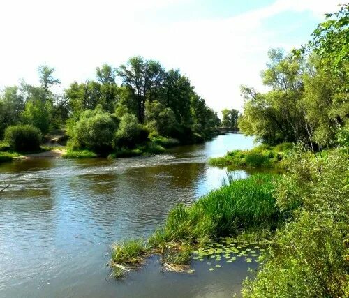 Река ахтуша самарская область фото Река сок в самарской области - блог RybolovMaster.ru