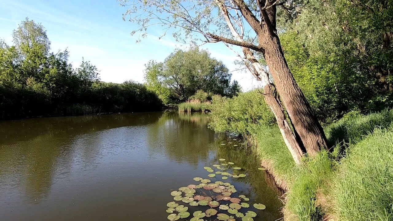 Река ахтуша самарская область фото Экскурсия на реку Чапаевка, пробная рыбалка, зарисовки в скетчбуке - YouTube