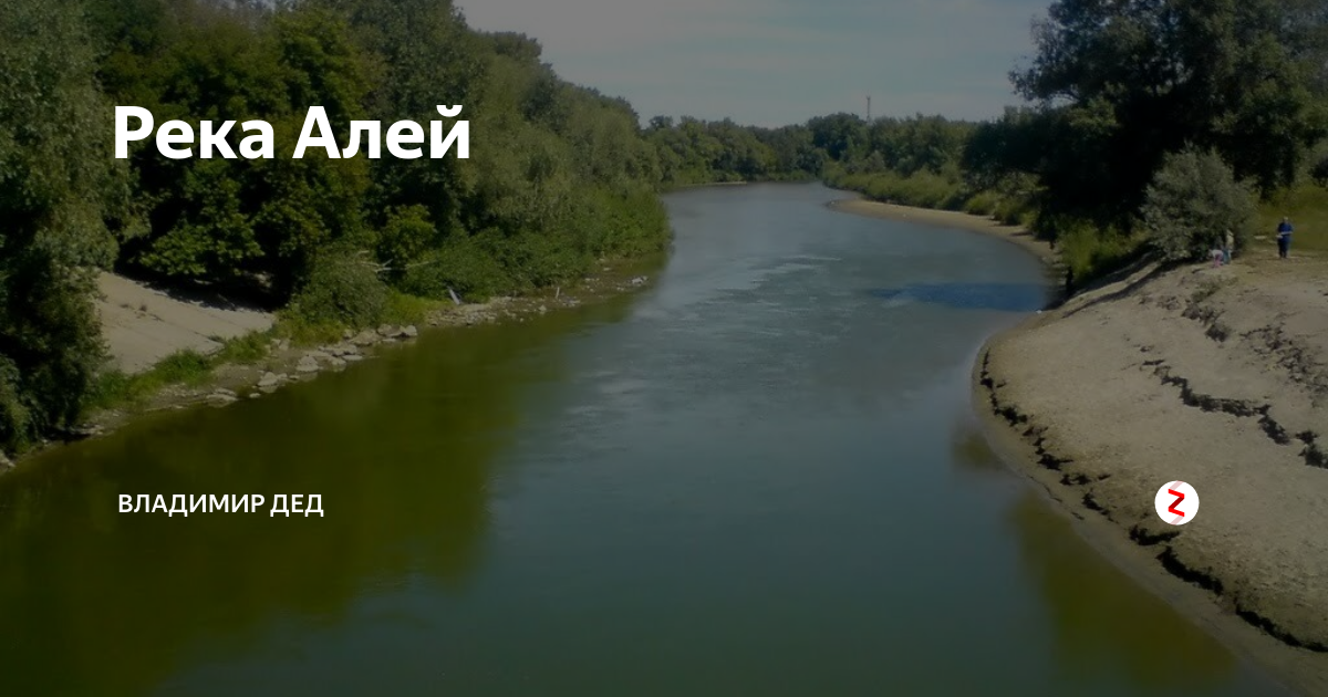 Река алей фото Река Алей Городской рыболов... Дзен