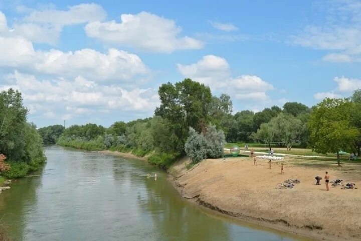 Река алей фото Пенсионерка утонула в реке Алей, спасая детей - МК Барнаул