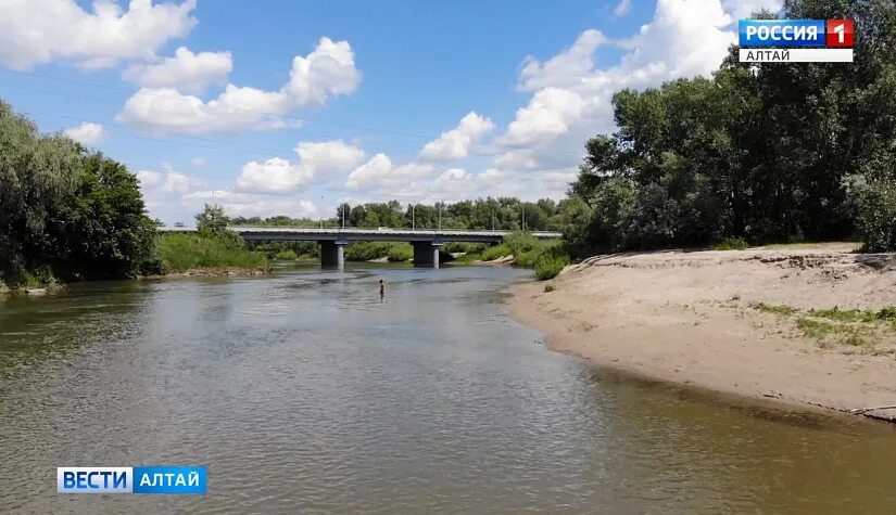 Река алей фото Почему в многотысячном Рубцовске нет ни одного пляжа?