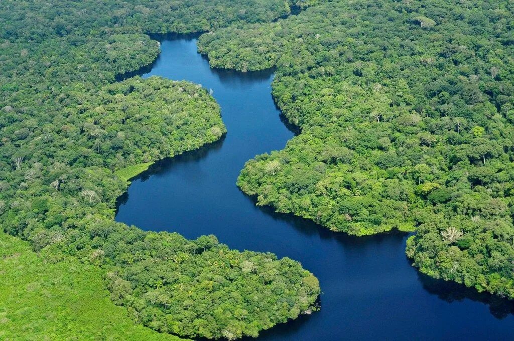 Река амазонка фото 10 Amazing Facts About the Amazon Wonders of the world, Amazon rainforest, Brazi