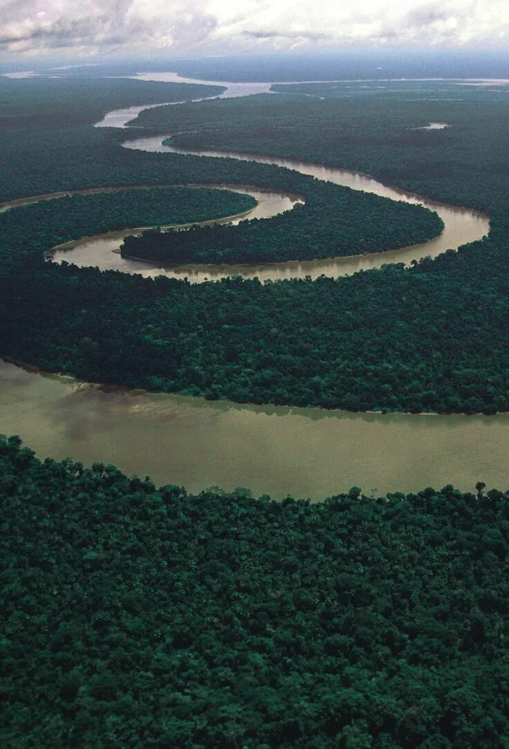 Река амазонка фото Meandering Tigre river, Peruvian Amazon - Next Year Travel All Summer!! Amazon r