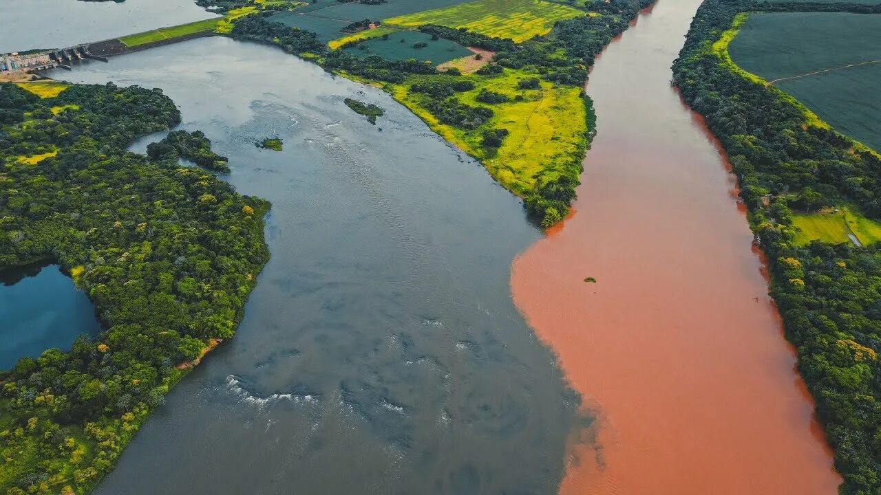 Река амазонка фото 2024 год Дикая природа Амазонки. Документальный фильм дикая природа NAT GEO WILD BBC - Yo