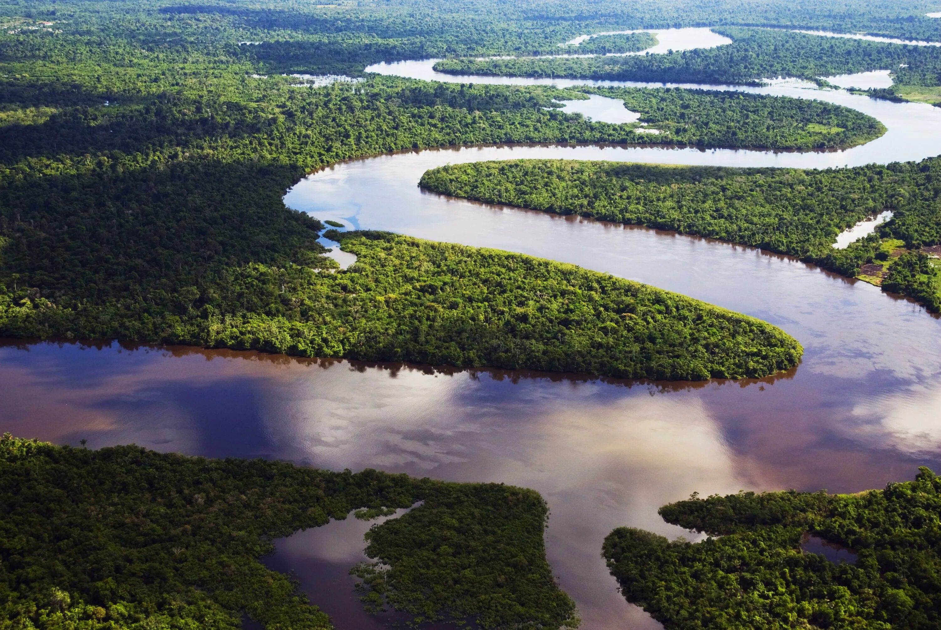 Река амазонка фото 2024 год The Amazon Forest was a massive experiment that got out of hand 8,000 years ago 