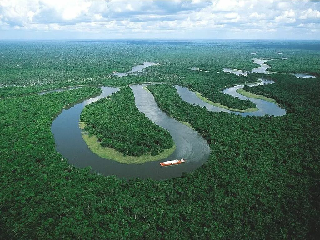 Coral Reef Found In Amazon River: Scientists Astounded, Unique Ecosystems Alread