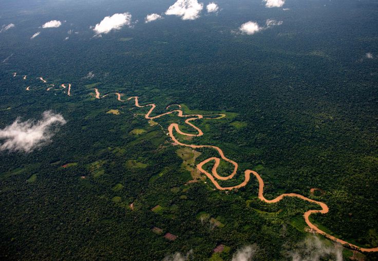 Река амазонка фото 2024 год Amazonka Río amazonas, Amazonas, Parques nacionales