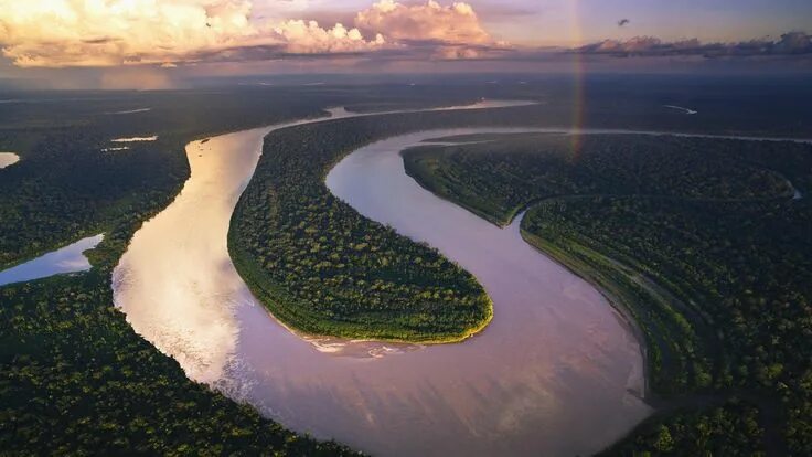 Река амазонка фото 2024 год L'Amazonie, une forêt tropicale en danger WWF France National parks, San buenave