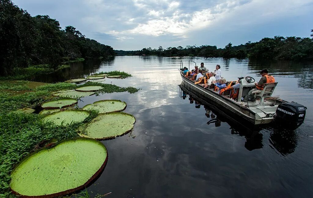 Река амазонка фото Explore the Amazon With Delfin, the First Relais & Châteaux Cruise Line