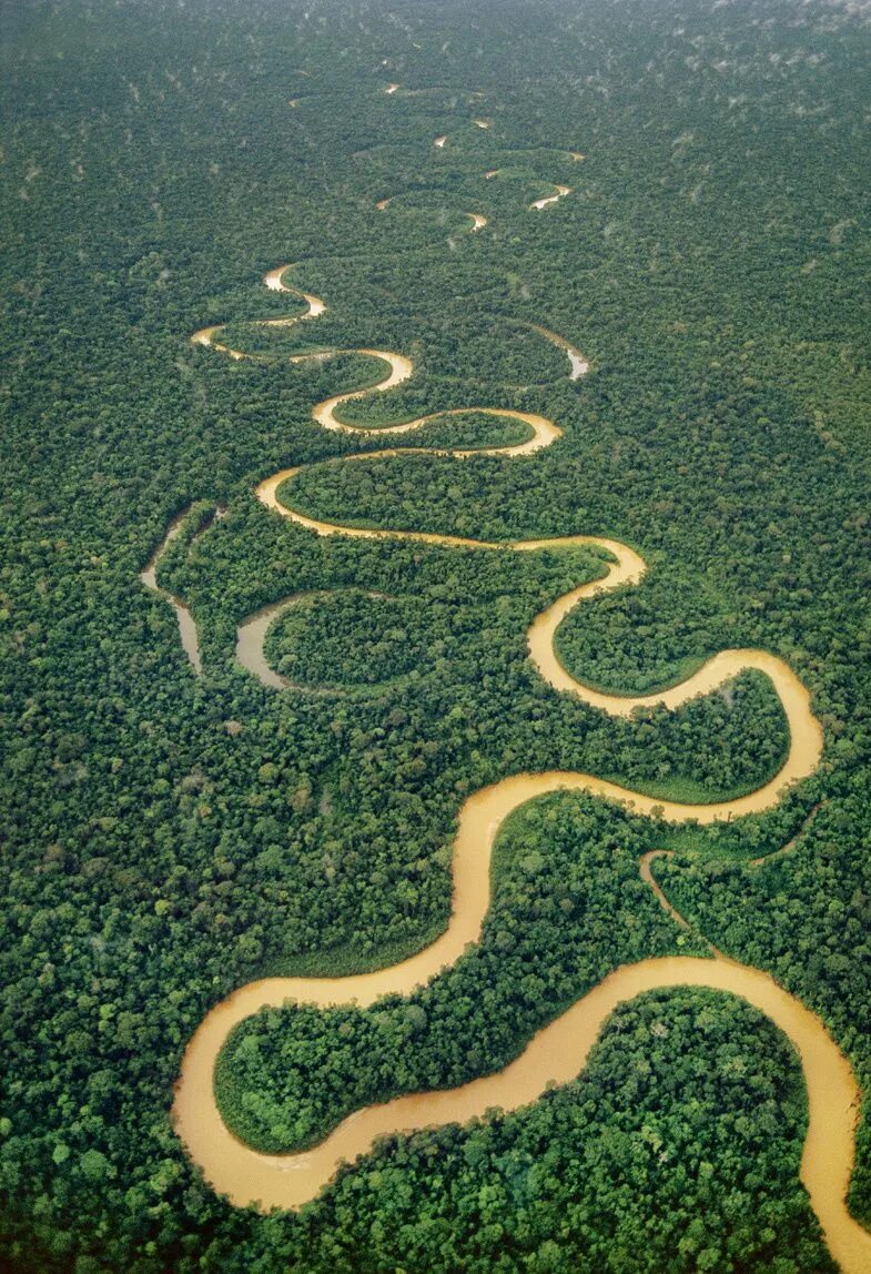 Река амазонка фото Vacaciones a favor de la corriente: los ríos más viajables del mundo River, Peru