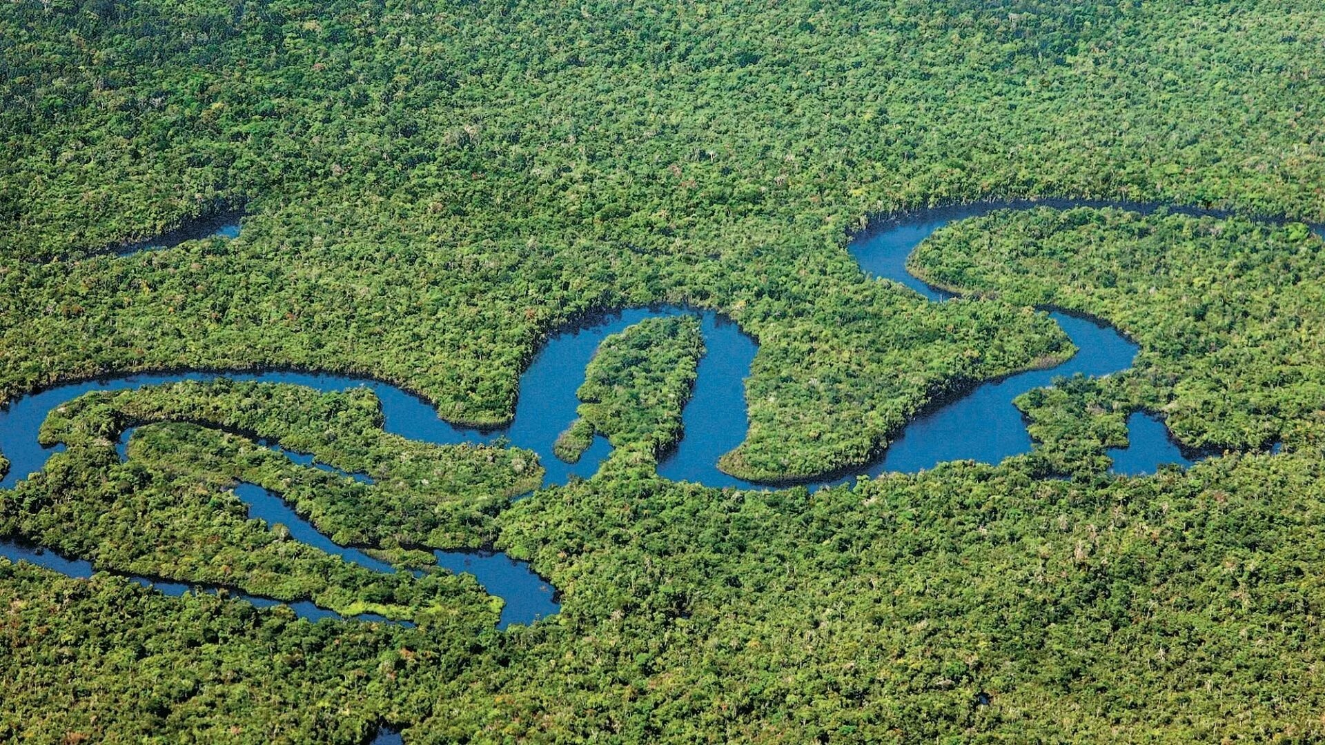 Река амазонка фото Amazônia pré-colombiana River, South america travel, Aerial view