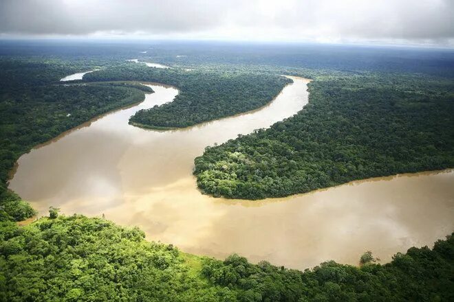 Река амазонка фото в хорошем качестве Photos: Huge Swath of Amazon Preserved in Record-Setting Deal Nature tour, Rainf