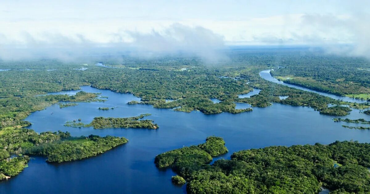 Река амазонка фото в хорошем качестве The Fate Of The Amazon: Fires And Deforestation Connecticut Public