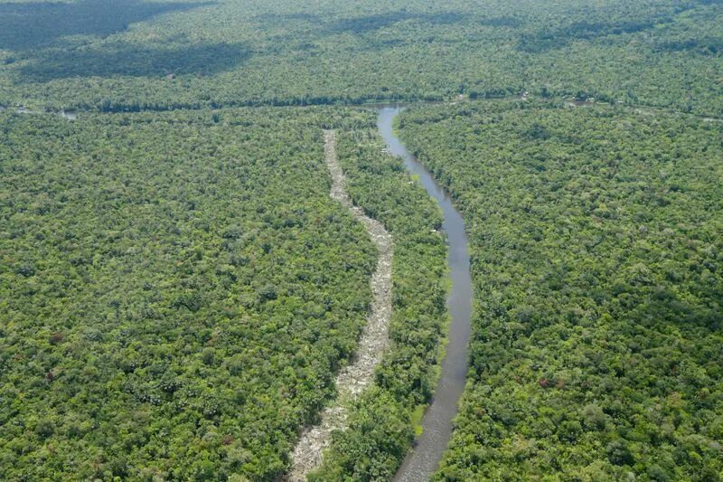 Река аракара фото As COVID-19 races up the Amazon River, health services struggle to keep up