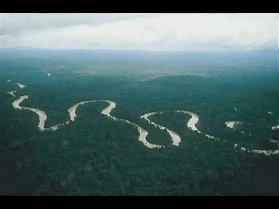 Река аракара фото Amazônia - Os Tonhos .wmv - YouTube