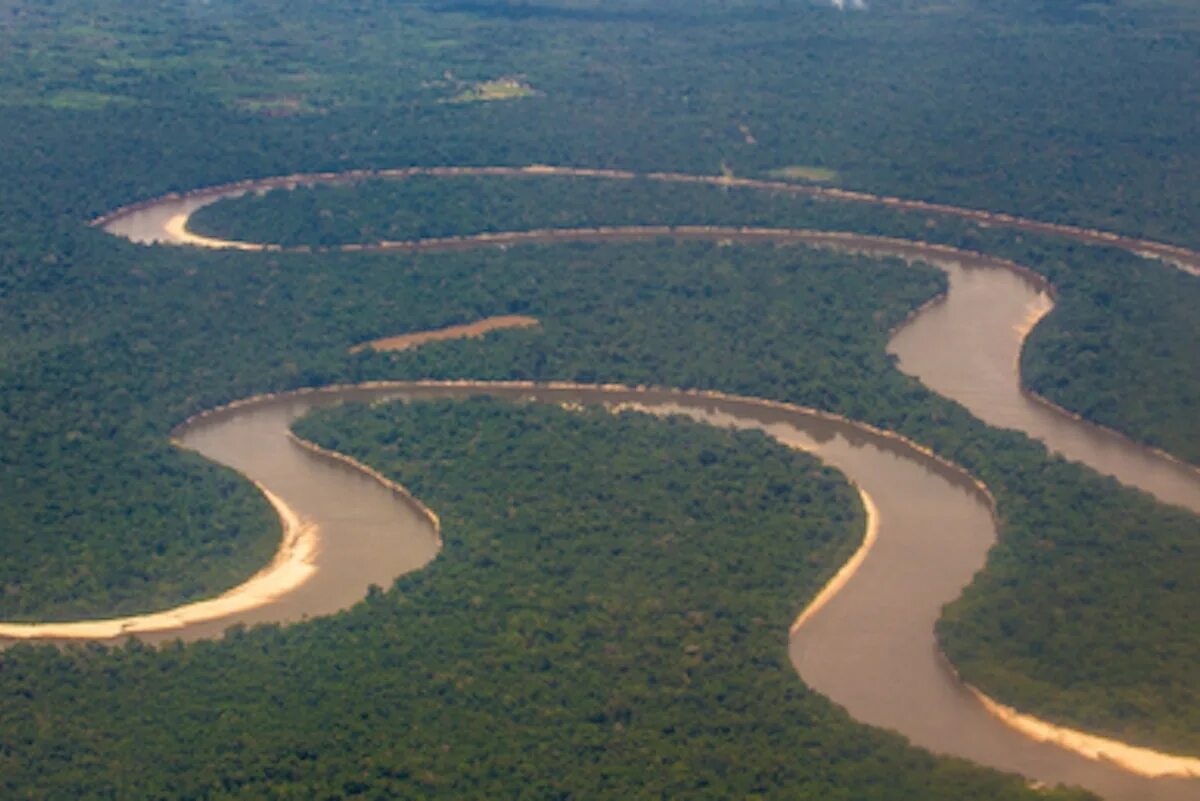 Река аракара фото Amazon forest loss threatens five states News Eco-Business Asia Pacific