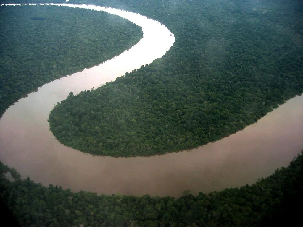 Река аракара фото The Amazon river from the air Daniel - דני Flickr