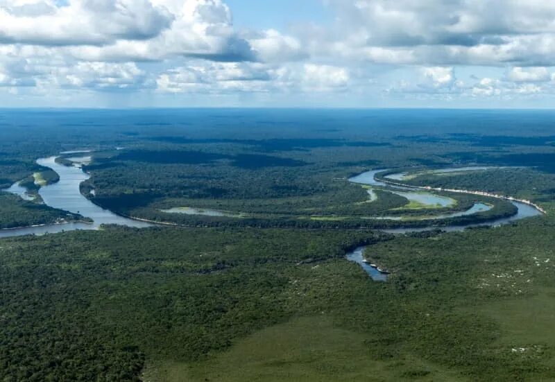 Река аракара фото Deforestation in the Amazon region at its lowest level for six years