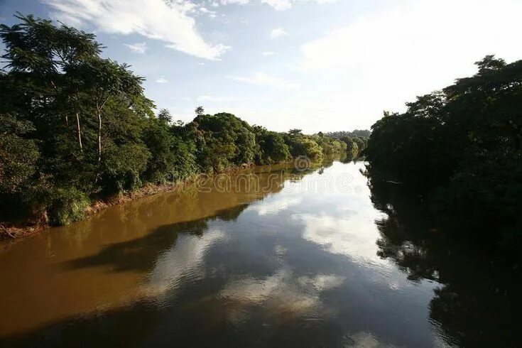 Река аракара фото River on amazon region. In brazil , #Sponsored, #amazon, #River, #brazil, #regio