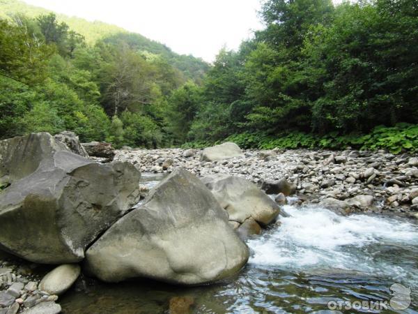 Река аше фото Отзыв о Долина реки Аше (Россия, Сочи) долина сказок и легенд